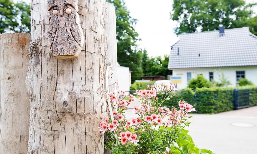 Sonnenblumenhaus 01 Apartment Преров Екстериор снимка